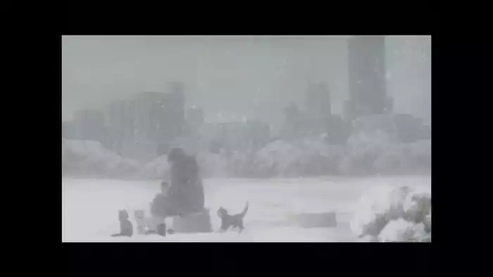 自分の無力をかみしめる