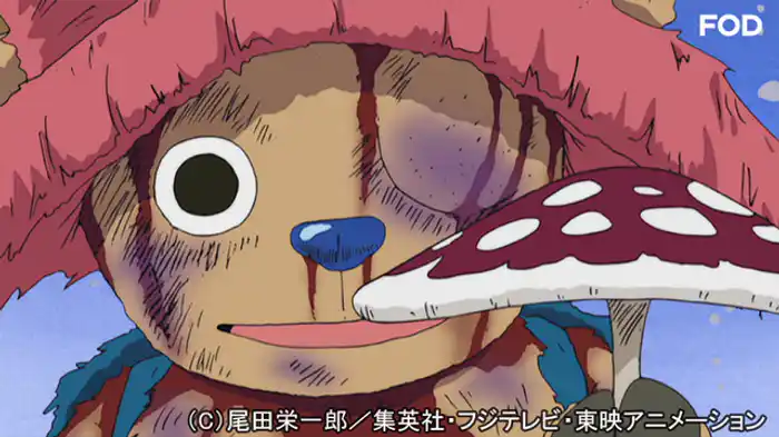 ヒルルクの桜と受け継がれゆく意志！