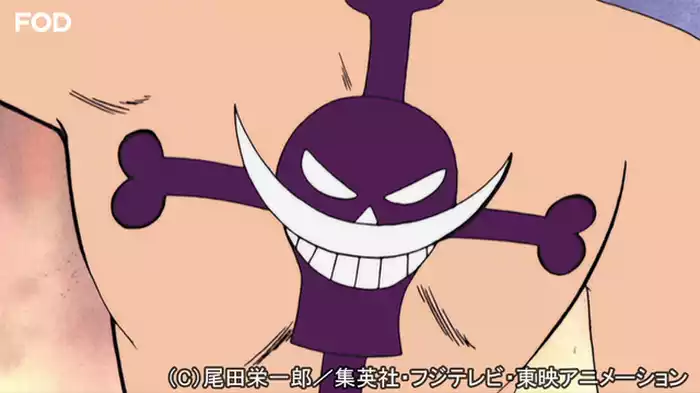 エースとルフィ！熱き想いと兄弟の絆