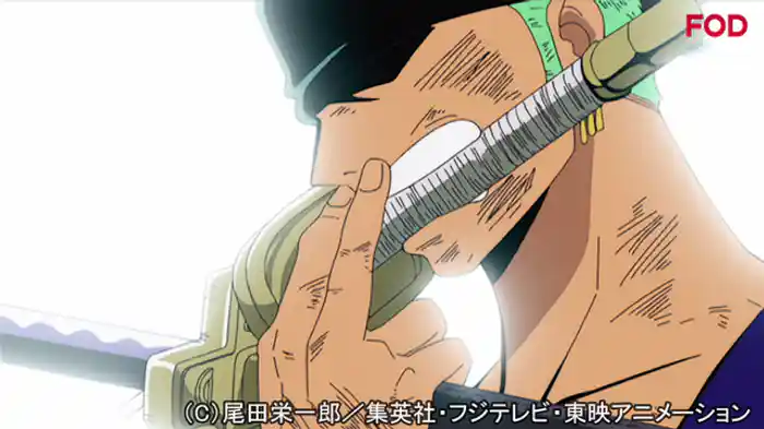 ほとばしる斬撃！ゾロVS神官オーム！！