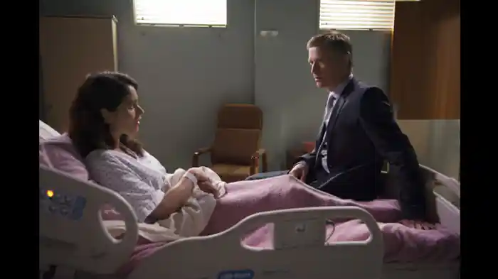 黒い翼の赤い鳥