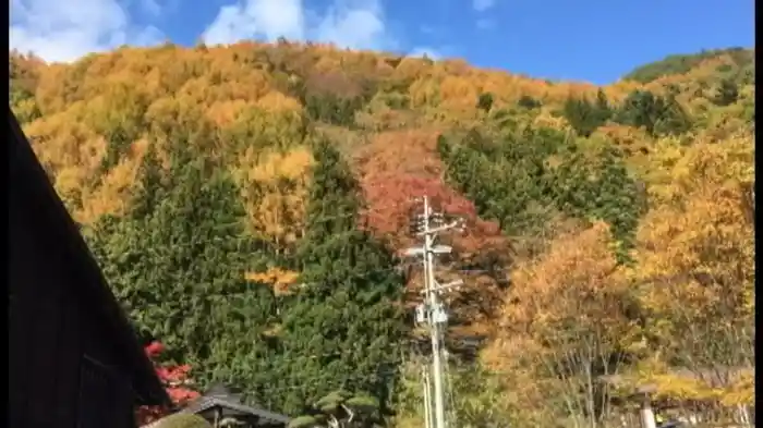 投稿！UFO・UMA 真夏の極秘新種映像編