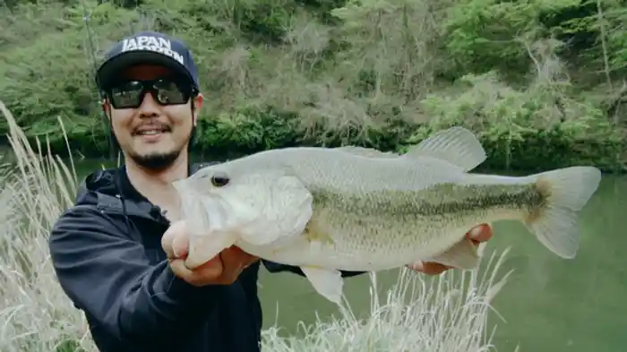 春:千葉県・高滝湖編