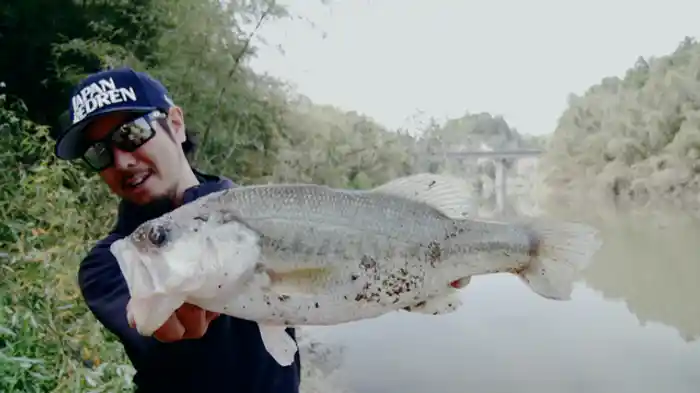 春:千葉県・亀山湖編