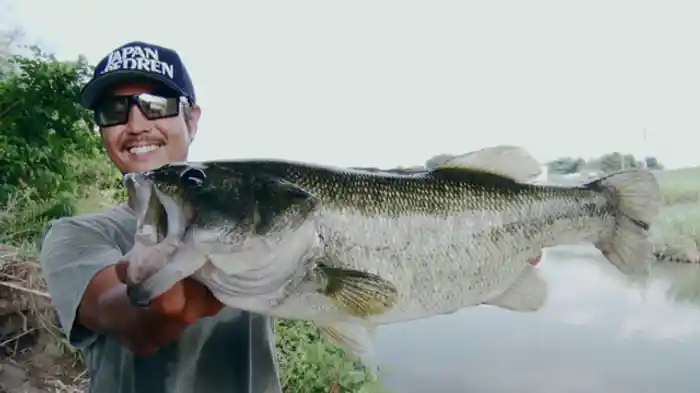 夏:福岡県・遠賀川水系編