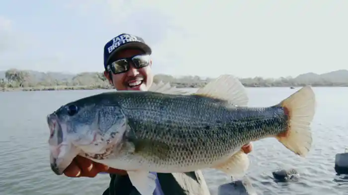 秋:和歌山県・紀の川&野池編