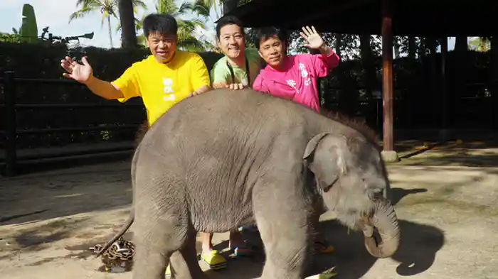 「バリ島で象とふれあいの旅」第5話