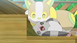 第29話 パチパチやきもち！ワンパチのきもち