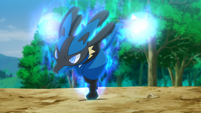 炎の特訓バトル！サトシ対シンジ！！