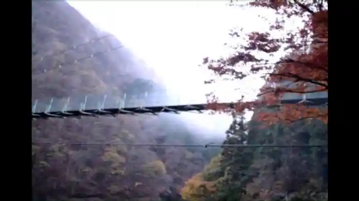 ~完全保存版~恐怖の怨霊ビデオ 5