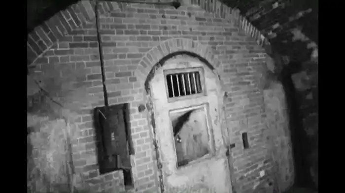 ~完全保存版~恐怖の怨霊ビデオ 7