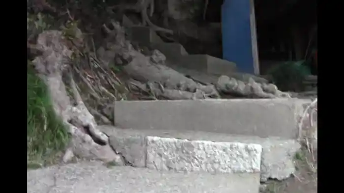 ~完全保存版~恐怖の怨霊ビデオ 9