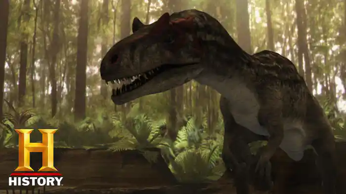 食うか食われるか