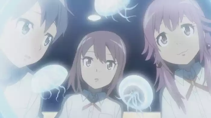 百日の花