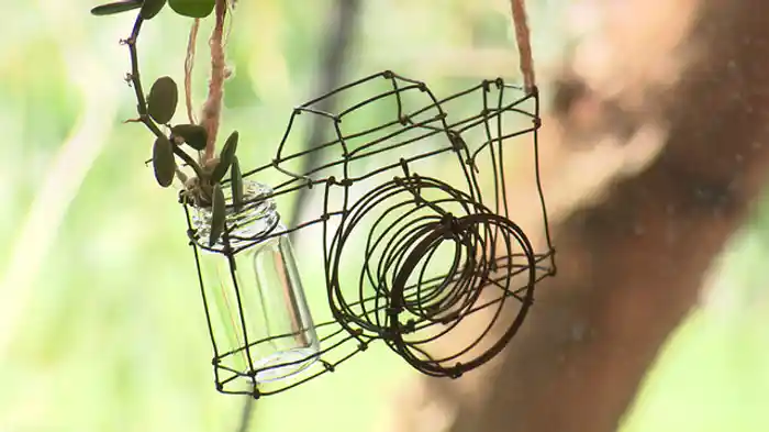 2020/8/29放送分 植物の力で人々を癒す！ ガーデンプランナーの夢のカタチ