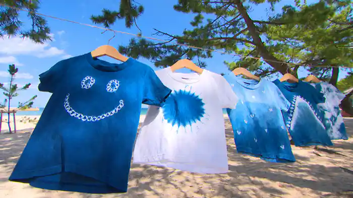 2020/10/24放送分 淡路島でポップな藍染めを生み出す国際結婚カップルの“夢のカタチ”！