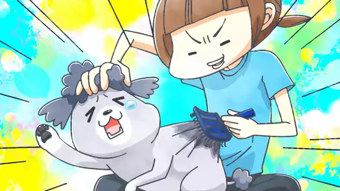 「ブラッシング」「ほね」「油断ならない」「犬と猫」