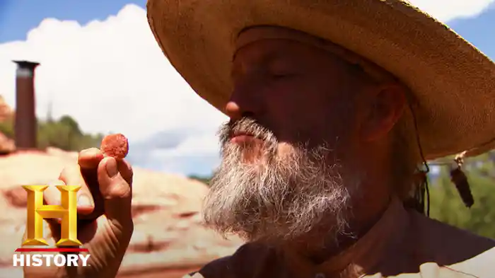 チワワ砂漠の巨大牛