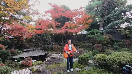 福井の秋の絶景を巡る「紅葉むすび」①