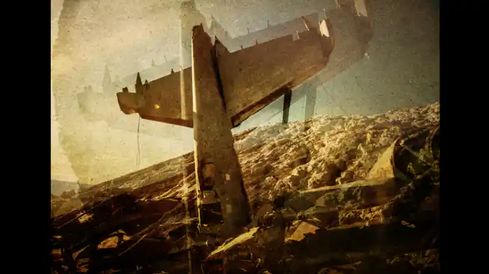 カラスからの贈り物