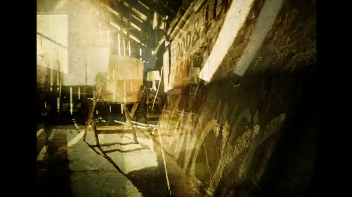 歯で取り戻した視力