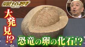 #24 2021年5月14日放送分 和歌山で大発見！　恐竜の卵の化石！？