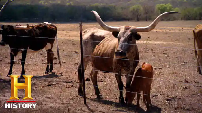 行き先のない道