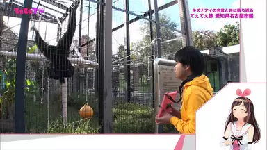 月イチのてぇてぇtv 3 音楽 アイドル 19年 の動画視聴 あらすじ U Next 月イチのてぇてぇtv 3 音楽 アイドル 19年 の動画視聴 あらすじ U Next