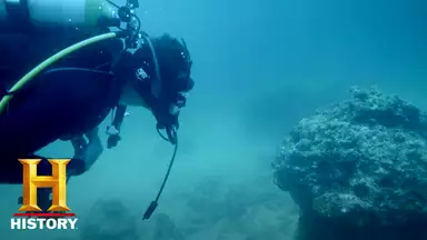 キング オブ ペイン 最強の痛み決定戦 1 Vs 殺人スズメバチ タランチュラ ドキュメンタリー 19年 の動画視聴 あらすじ U Next キング オブ ペイン 最強の痛み決定戦 1 Vs 殺人スズメバチ タランチュラ ドキュメンタリー 19年 の動画視聴 あらすじ U Next