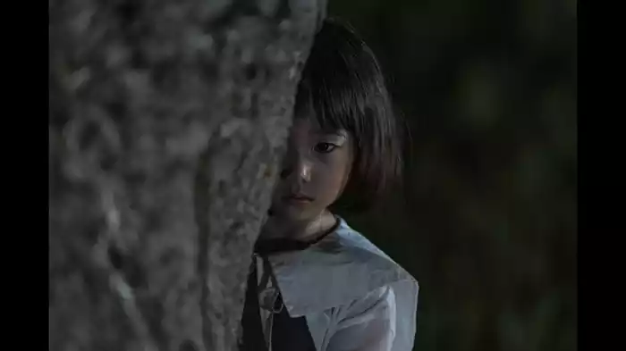 応報