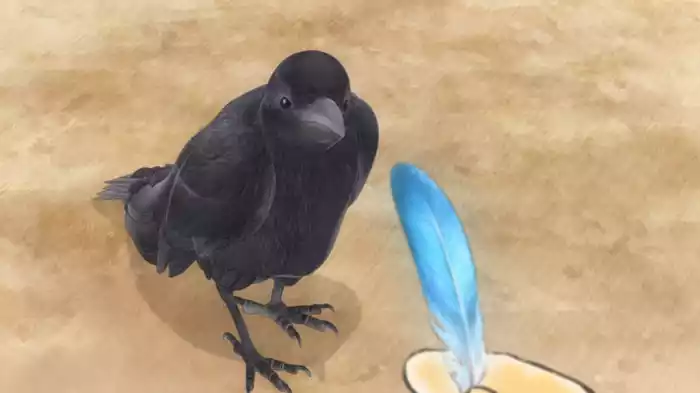 青い羽みつけた！