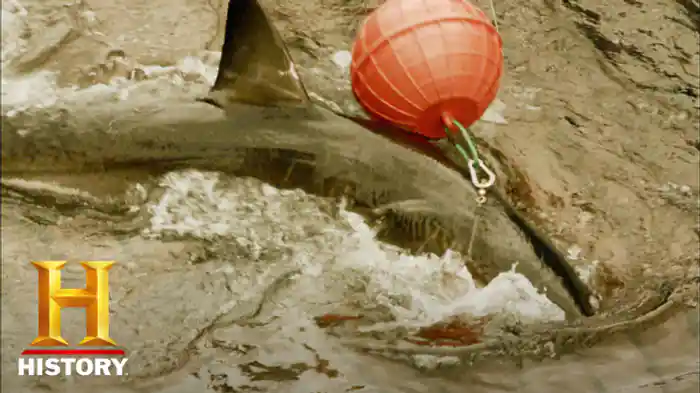 モンスター・アイランド