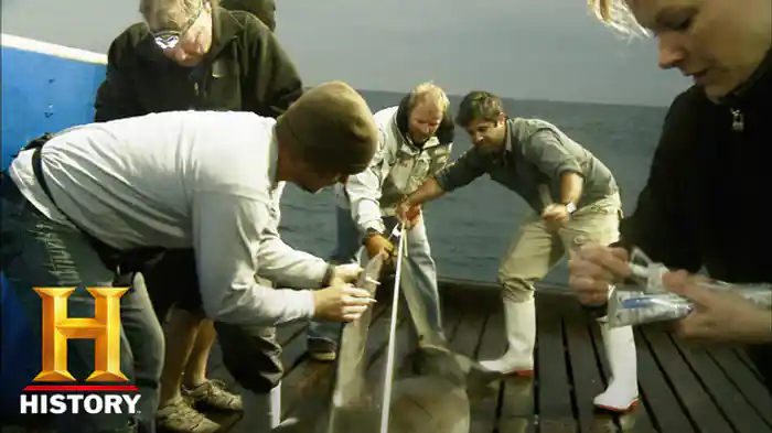 ネバー・ギブ・アップ