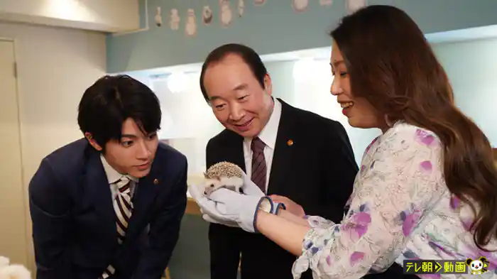 密室のハリネズミ