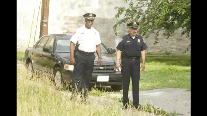 ハムステルダム