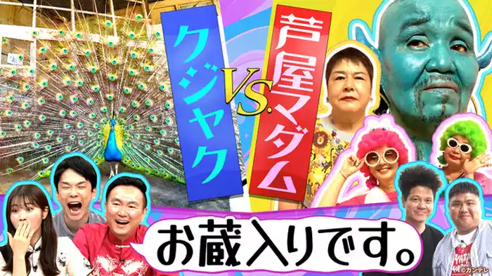 芦屋マダムが1番派手なコーデでクジャクの前を歩いたら羽を広げてくれる！…ハズ