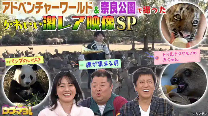 人気スポットの裏側!できるだけ密着24時!