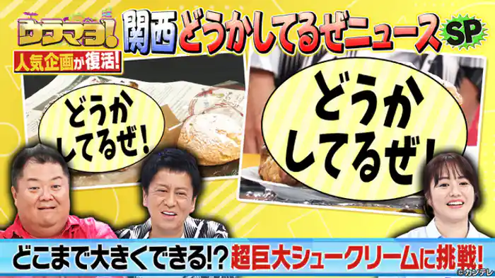 大好評企画！関西どうかしてるぜニュースSP