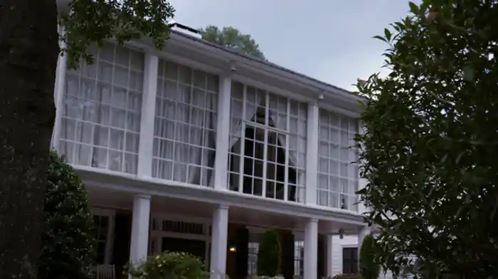 ネネ・リークス：奇妙なウェディング