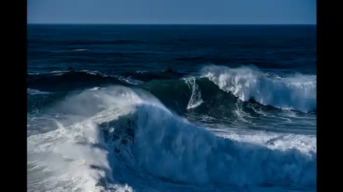 海のモンスター