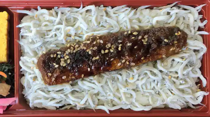 岳南電車と田子の浦いわしらす重