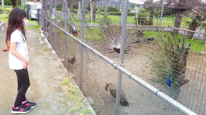 関東の熱帯・亜熱帯天国「道の駅 南房パラダイス」（千葉県）