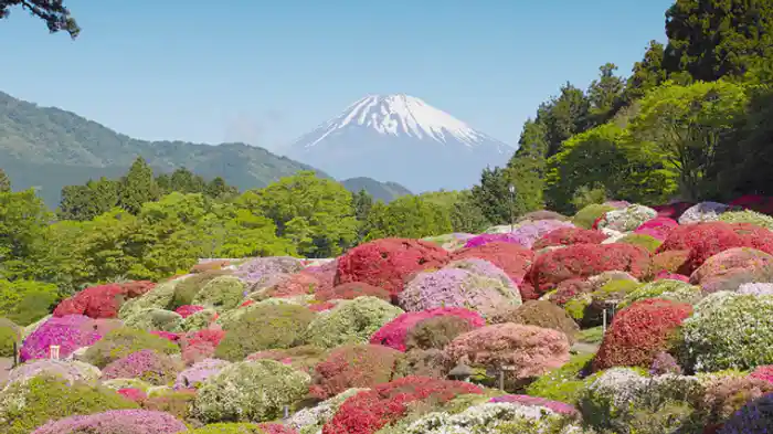 芦ノ湖畔に咲いた奇跡の花「小田急 山のホテル」（神奈川県・箱根町元箱根）