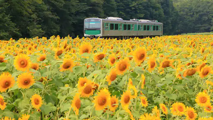 JR烏山線/能勢電鉄妙見線・日生中央線