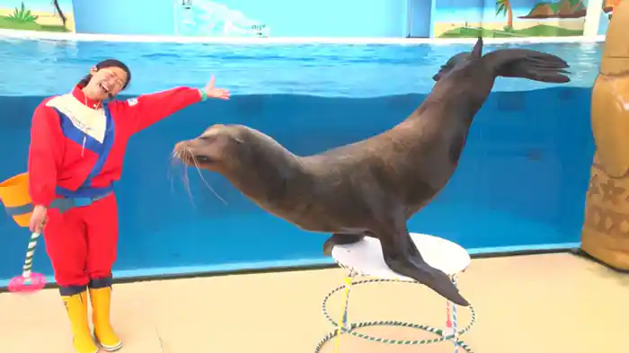 海・島・生き物と生きる「横浜・八景島シーパラダイス」（神奈川県）