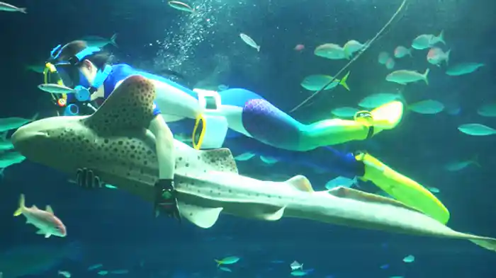 大都会に息づく水族館のパイオニア「サンシャイン水族館」（東京都）