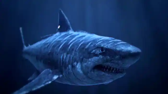 深海の音と幽霊船の謎