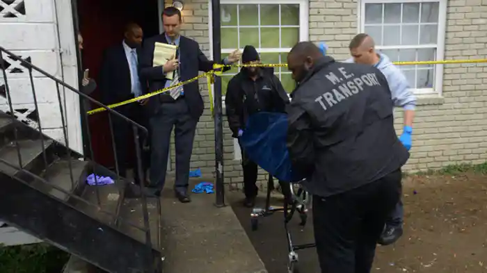 ルーキー捜査官