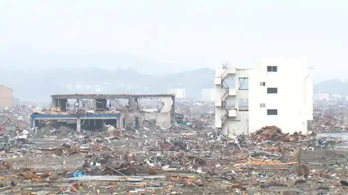 巨大津波の衝撃 研究者は想定していたのか?