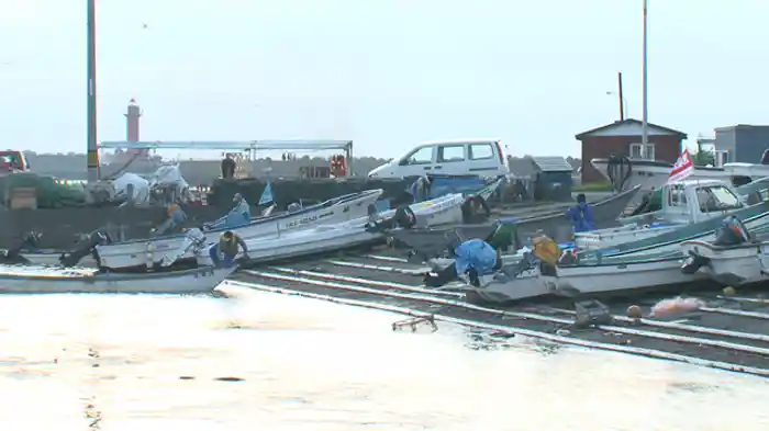 森が育む豊かな海 漁師町が始めた森林保全